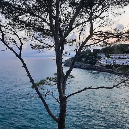 Edelweiss Cala Crancs Apartamento
